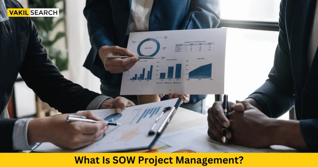 what is an sow in business