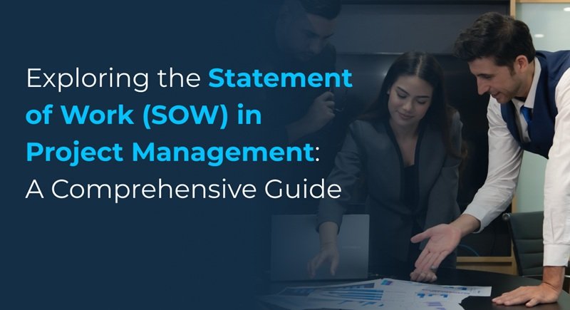 what is an sow in business